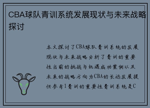 CBA球队青训系统发展现状与未来战略探讨