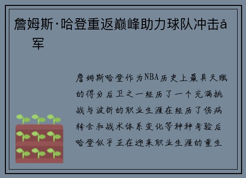 詹姆斯·哈登重返巅峰助力球队冲击冠军