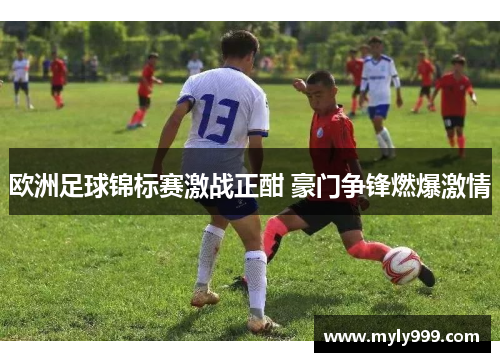 欧洲足球锦标赛激战正酣 豪门争锋燃爆激情